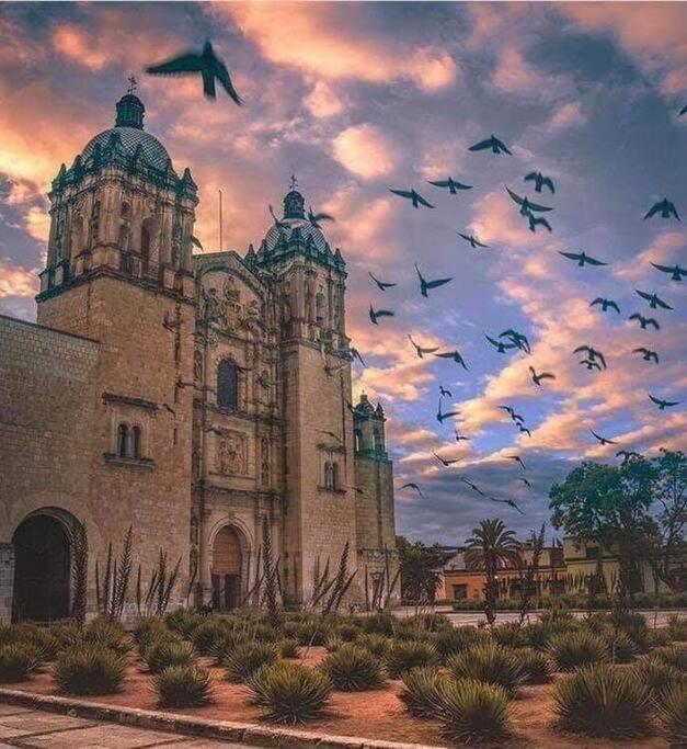 M1010 - The Best Place To Enjoy Oaxaca Exterior foto
